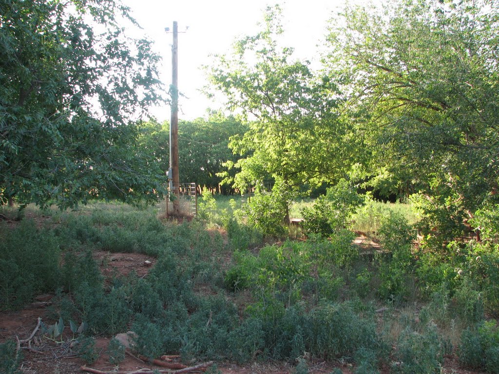 Former Stout home site, Sandstone, Oklahoma by robawalker