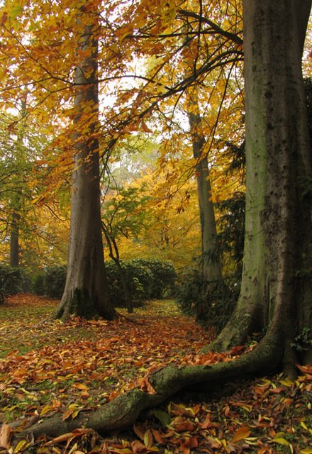 Parco di Arcore by adirricor