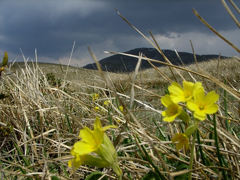 National park Galichica - Ohrid by www.oxo.bg