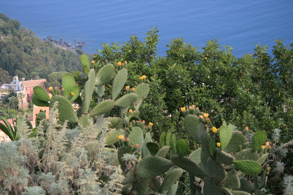 Taormina by senmax