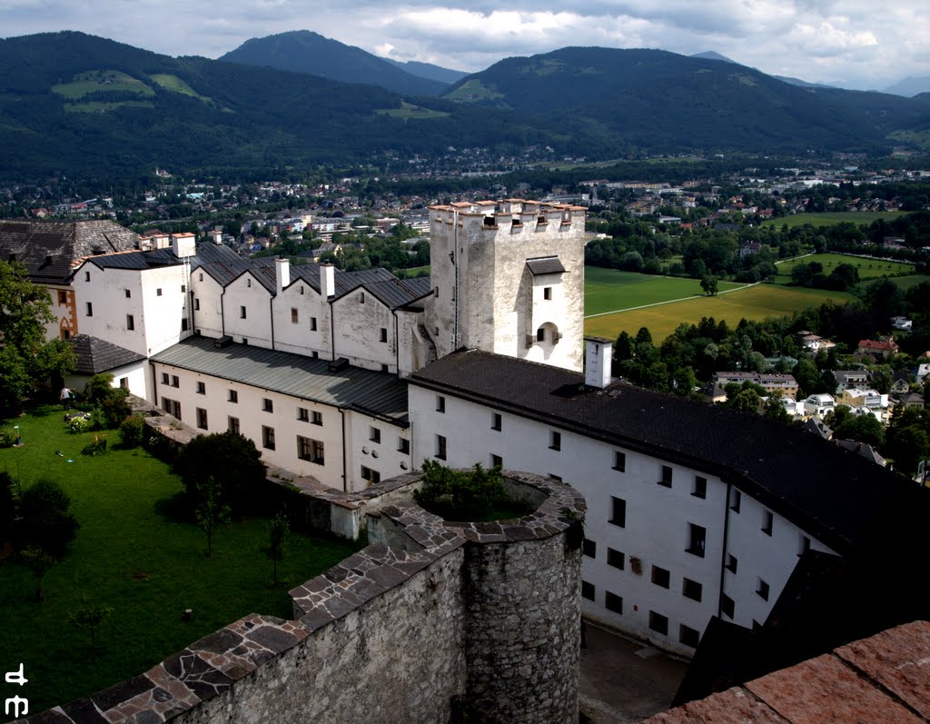 Interno della rocca by Domenico Mento