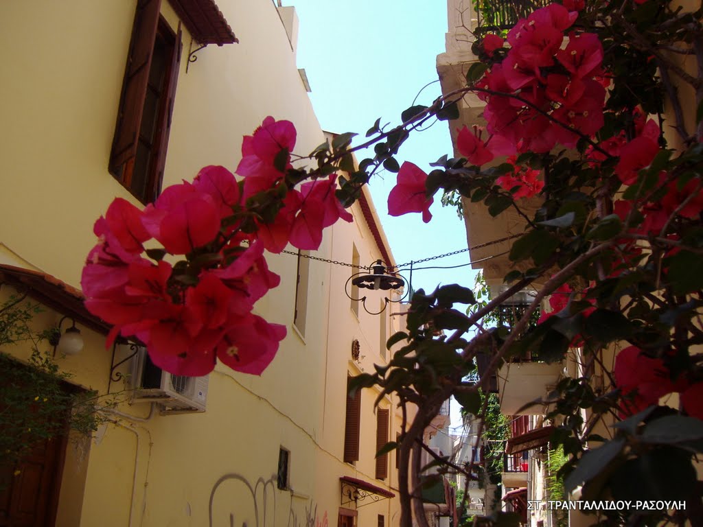 Walking in Chania -Greece -Photo by ST. TRANTALLIDOU-RASOULI by ΣΤ.ΤΡΑΝΤΑΛΛΙΔΟΥ-ΡΑΣΟΥΛΗ