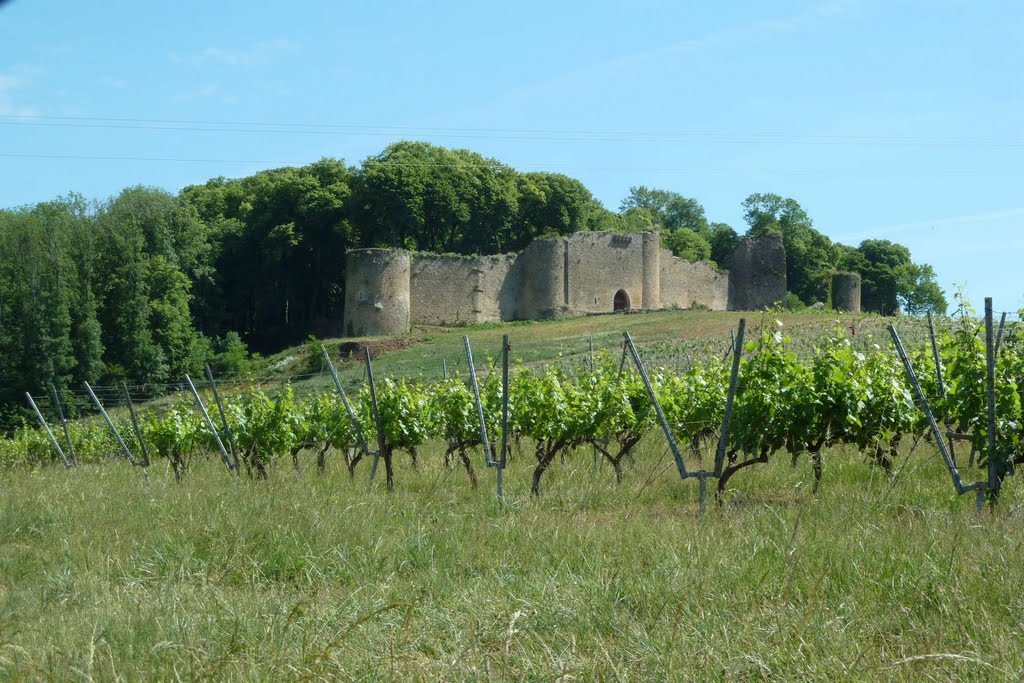 Château d'Arlay (rs) by booh