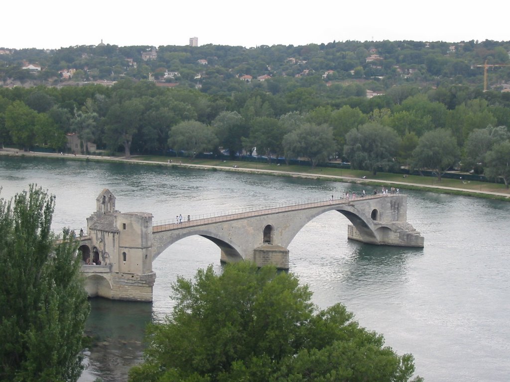 Trozo de puente.-Avignon- by Javier Saiz Zaldo