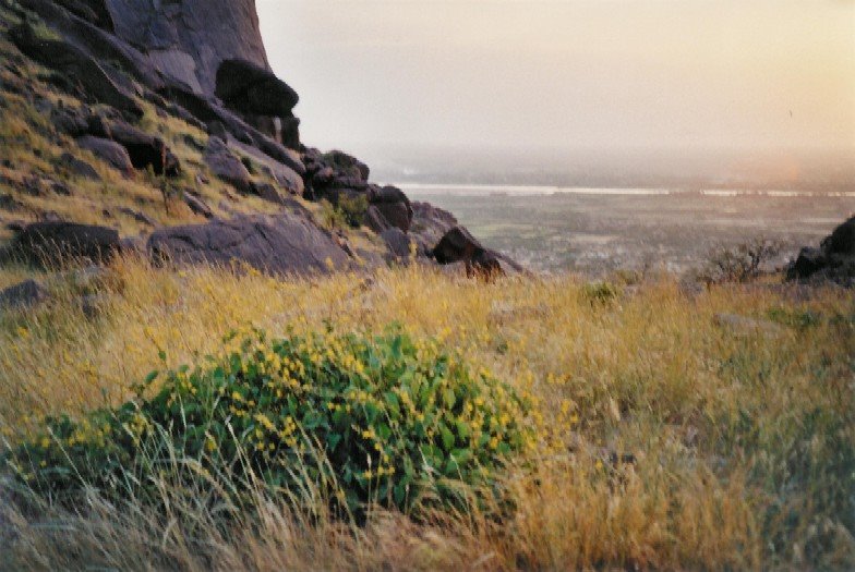 Meadow on Taka mountain - view towards southwest by clergliegna