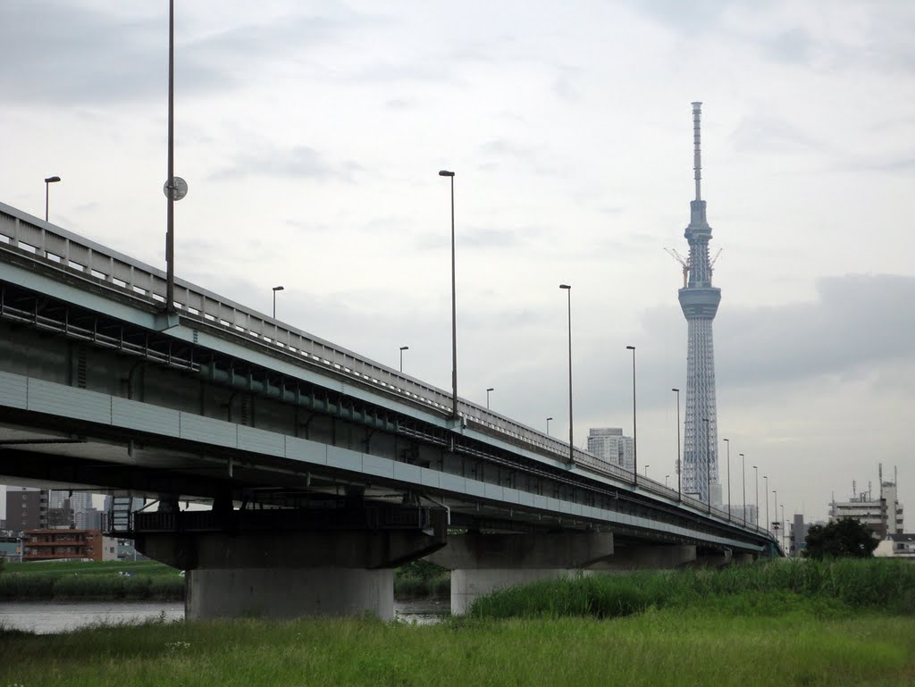 Shin-Yotsugi Bridge / 新四つ木橋とSky Tree by Kangoo_