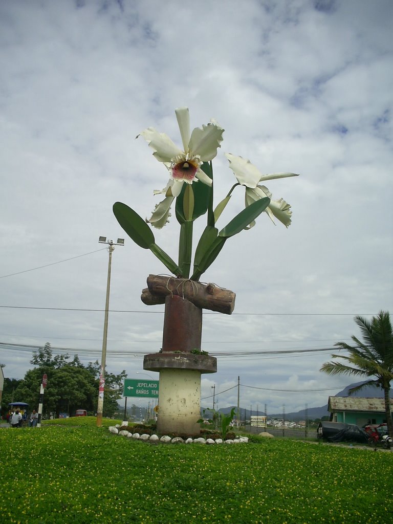 Ovalo - cruce de uchuclla - moyobamba by rafael benzaquen (raf)