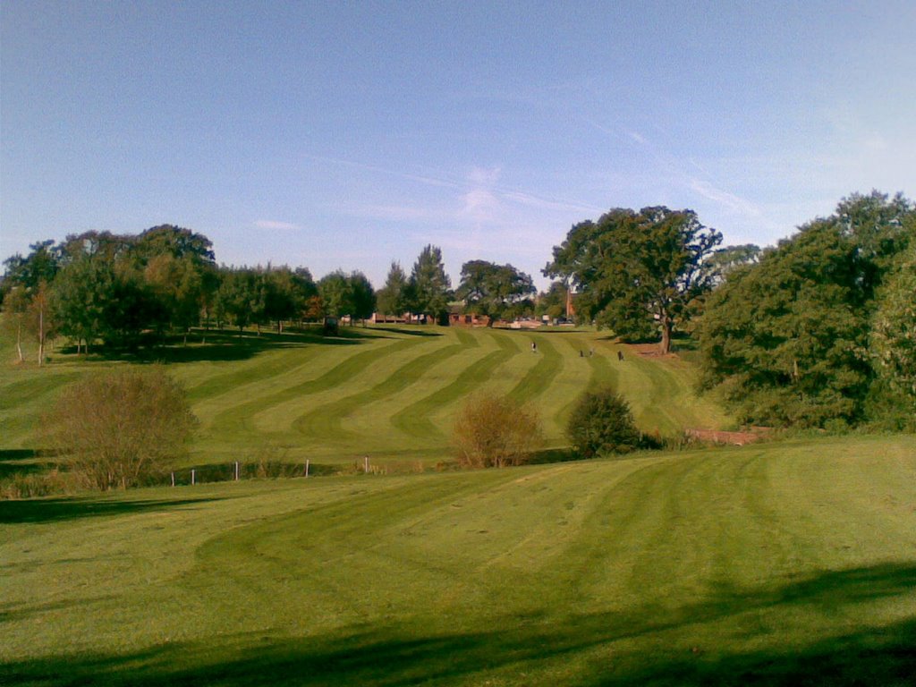 Marton Meadows - the Ninth by Mark Edwardson