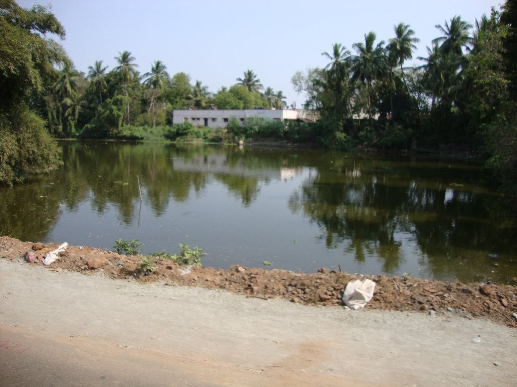 DSC08141மயிலாடுதுறை குளம் POND by dhanasekarangm