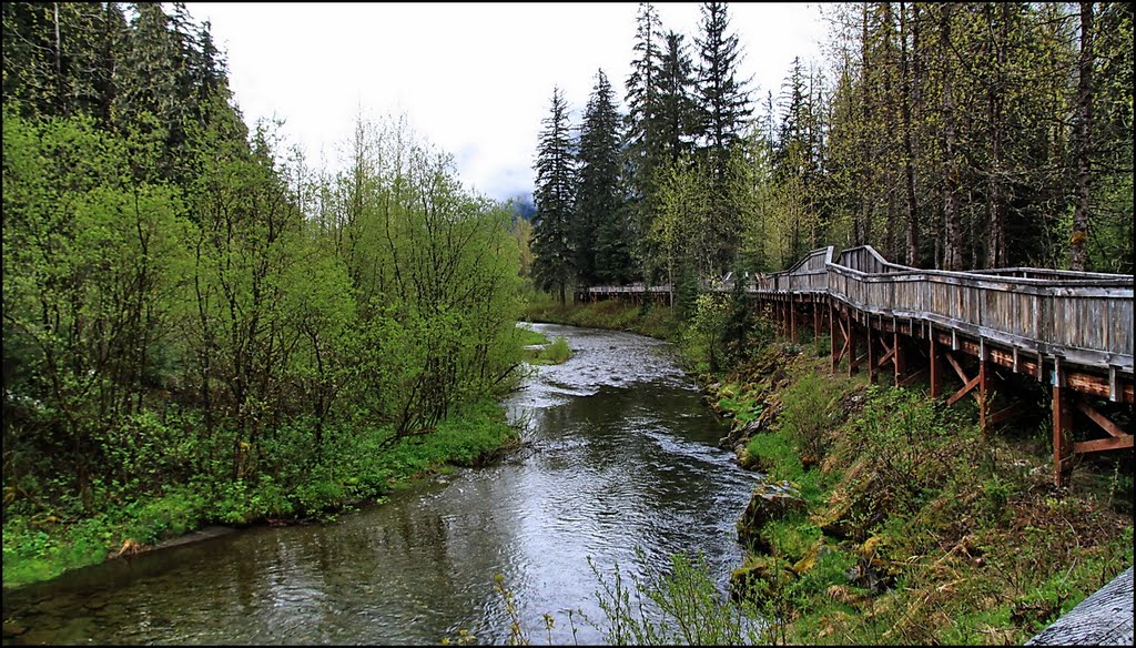 Salmon River, Hyder, Alaska 18.5.2011 ... C by americatramp.the2nd