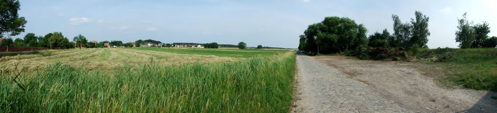 Lostau, Landschaft am alten Bahndamm der BPME by minka1991