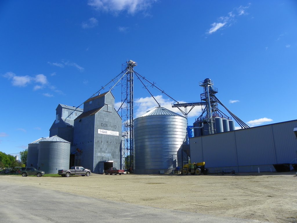 Grain Elevators in Doland, Spink County, South Dakota by J. Stephen Conn