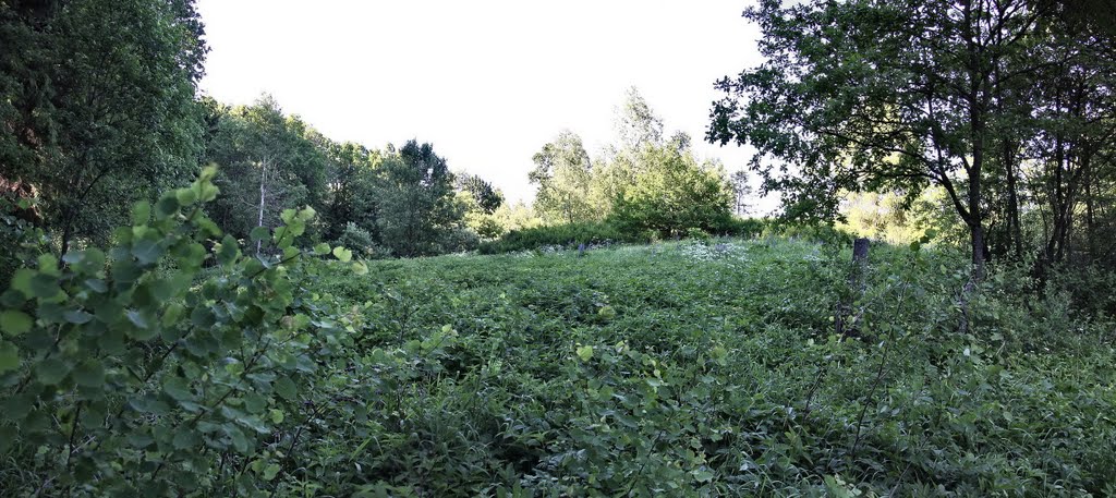 Hier stand das Forsthaus von Förster Wenck by pillboxs