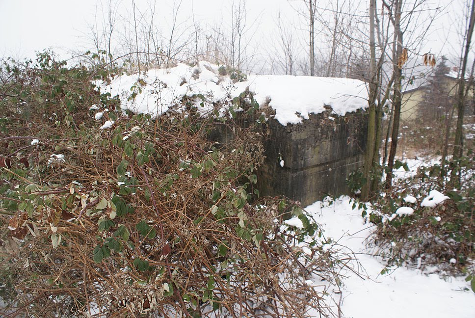 POZYCJA CIESZYŃSKA - LEKKI SCHRON PIECHOTY ( URBAN ) NR 2 by Łukasz Świetlik