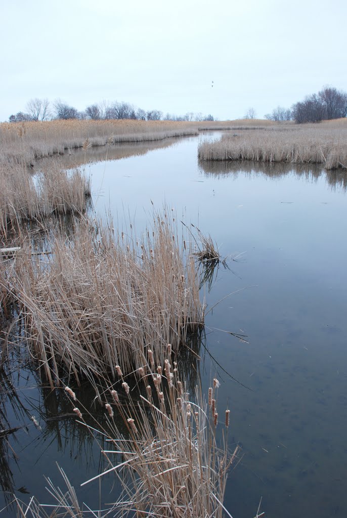 Lake Erie Metro Park April 2011 by get wired