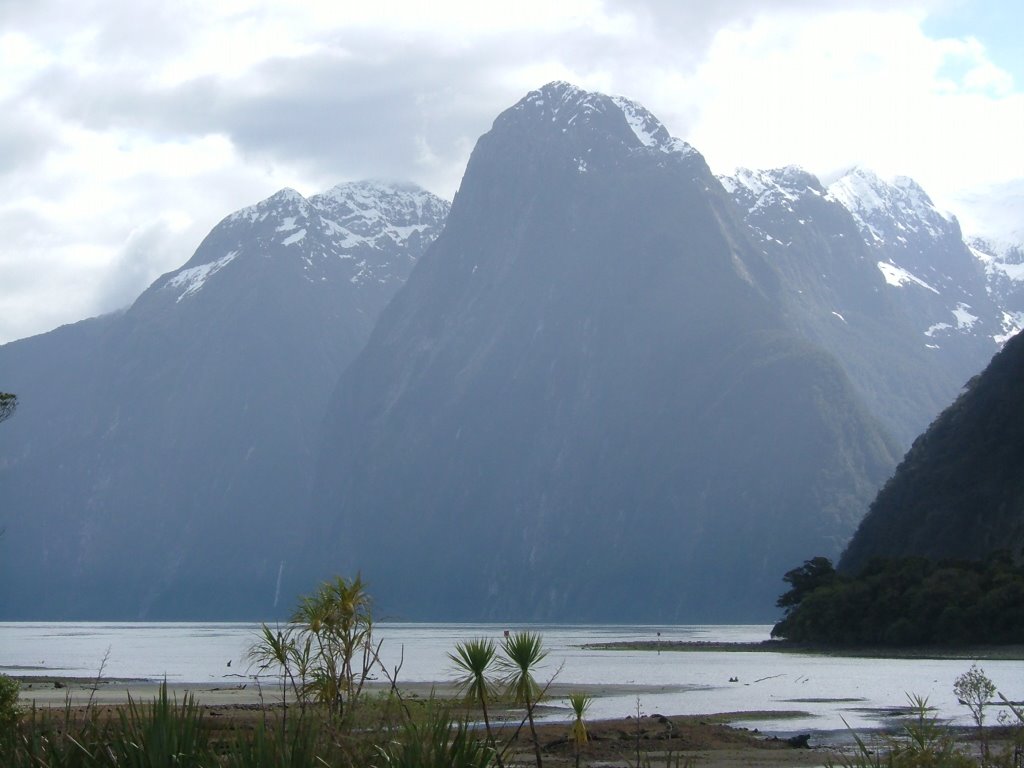 Milford Sound by Daniel Shanks