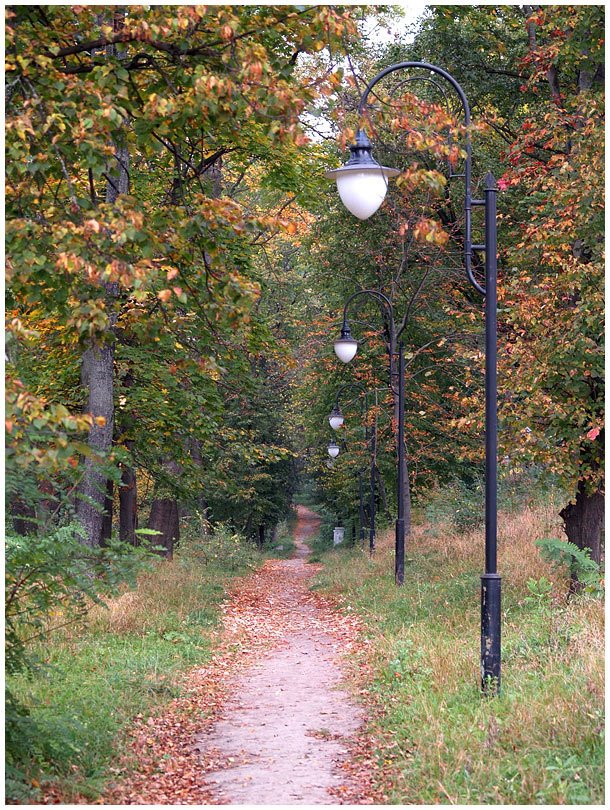 Park alley by Stanislaus