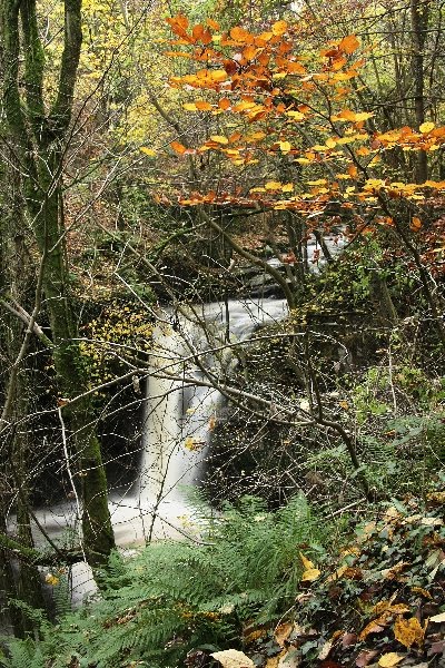 Waterfall near Gilwern by Jane Corey