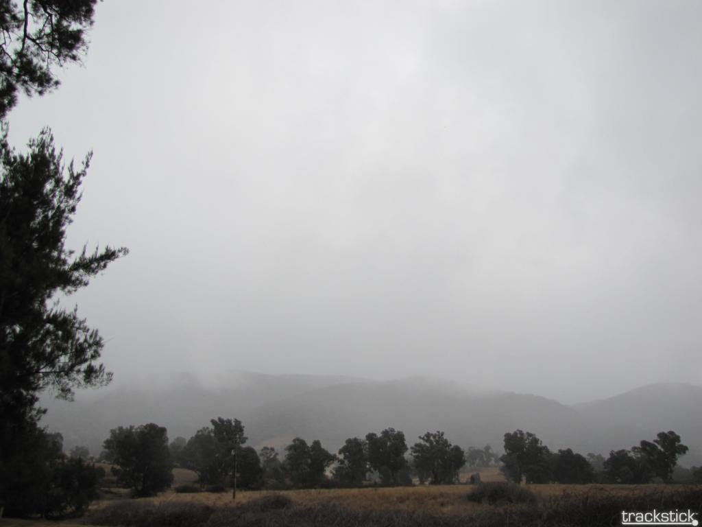 Misty day in Wee Jasper by Luke Johnston