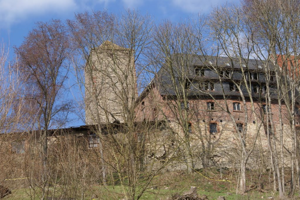 Schloss Beyernaumburg (Mansfeld-Südharz) by Atheistin