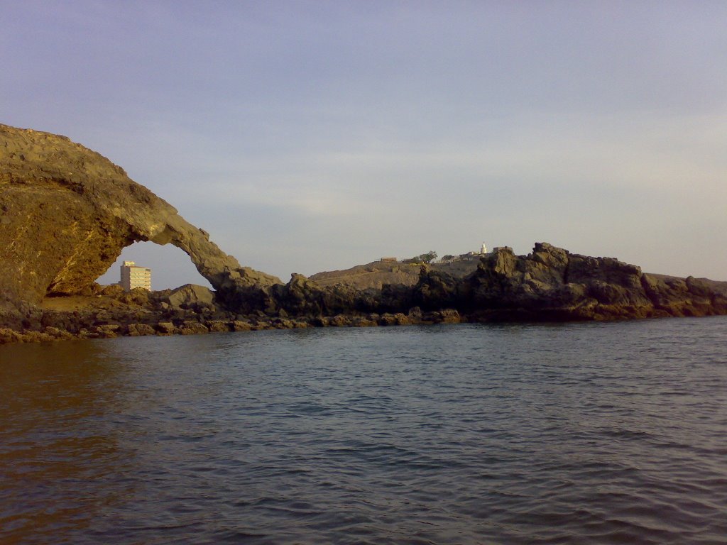 Elephant beach by yemeni