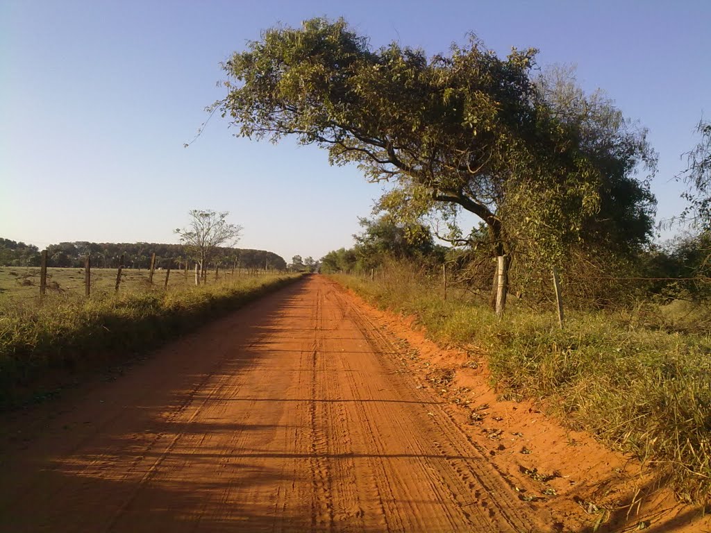 Rio Preto - Nova Aliança estrada de terra by Matheus Cal