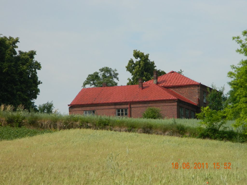 Szkoła Podstawowa w Wolicy Działoszyce by K.P.S