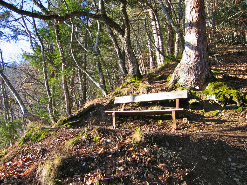 "Le Banc" au-dessus du Pertus 14.01.2005 by Jean-Luc.