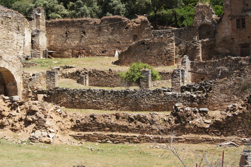 Convento de Cabeza de Alba. El burro tiene más de 30 años, según nos contó el dueño. by Hikergoer