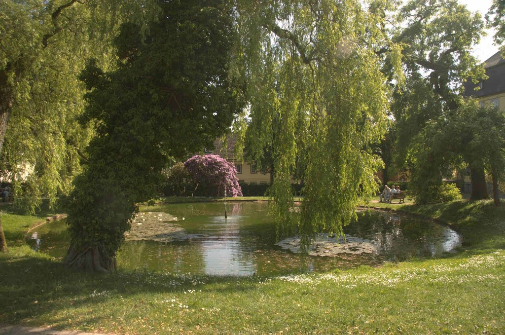 Gersfeld, Schlosspark-Teich by Th.Lange