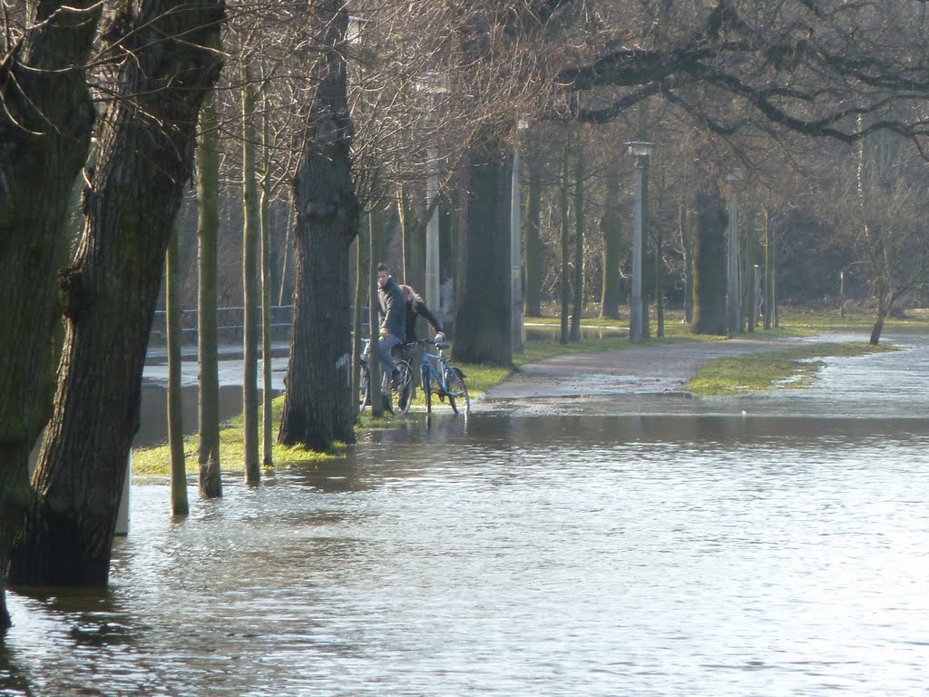 Hochwasser 2011: Talstraße by Martin Beitz