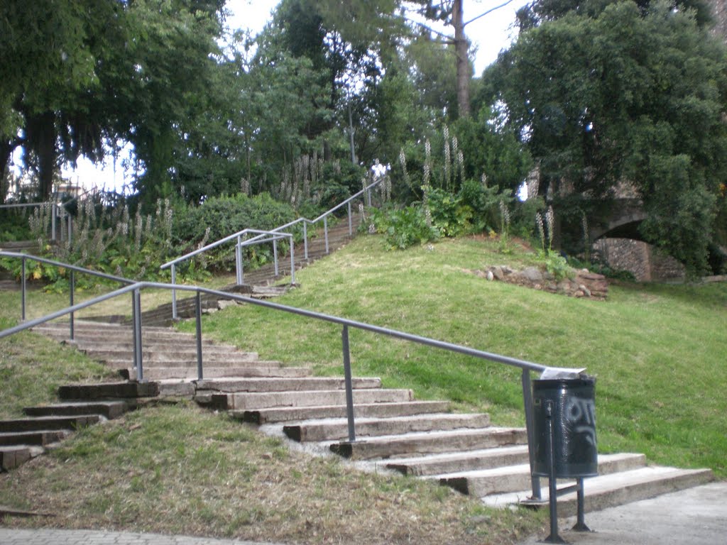 Terrassa- Parque de Vallparadís- Paseo por el parque 10 by mFodrini