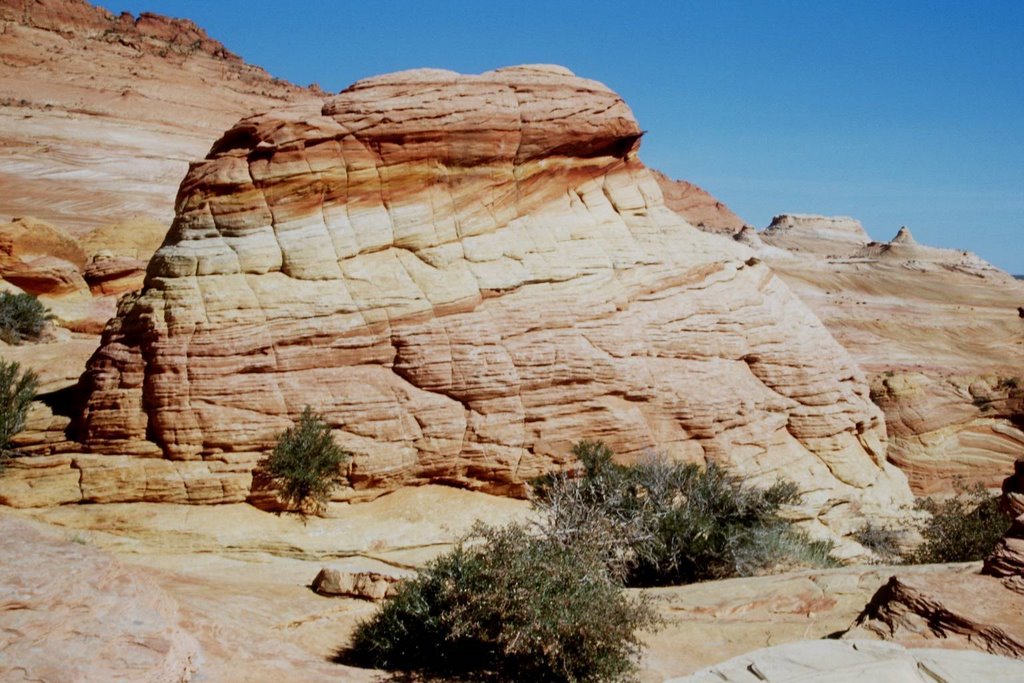 Coyote Butte's North, Paria Plateau by Walter Brunner