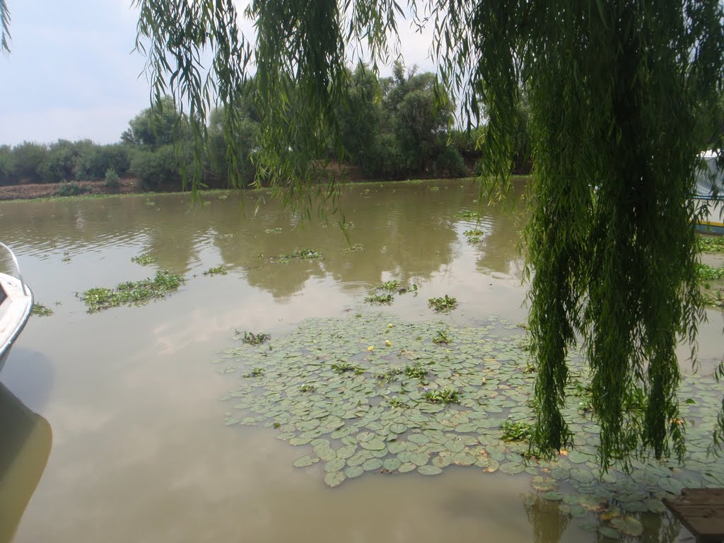 Lago en patzcuaro by bcmbcs