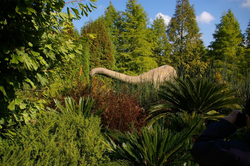 Dinos im arboretum by adnan.uzun