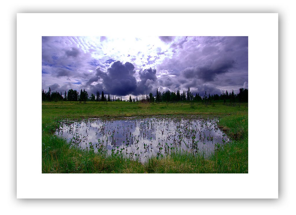 A Pond on Petersville Road by PhJacquot