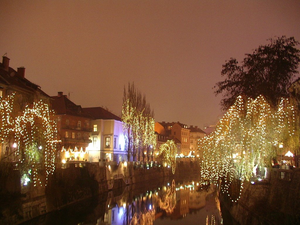 Ljubljana at night by sbelchev