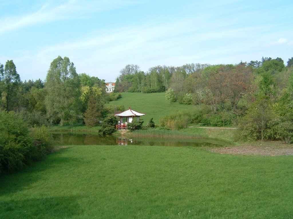 951 52 Vieska nad Žitavou, Slovakia by ErikRepka