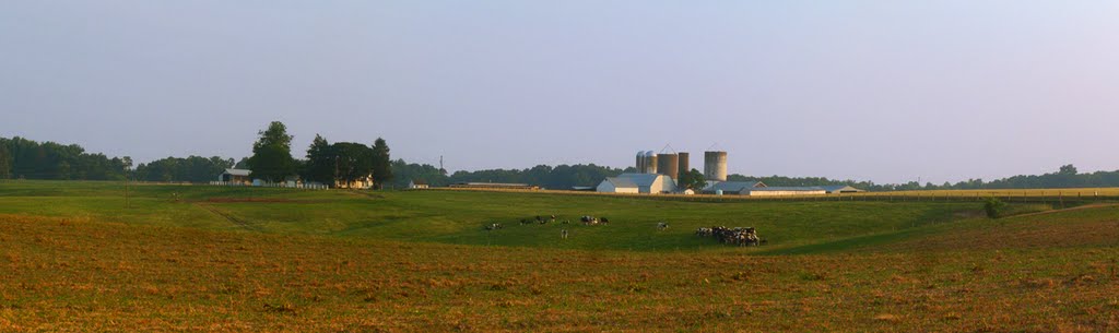 Dairy Farm - Caroline County, VA by r.w.dawson