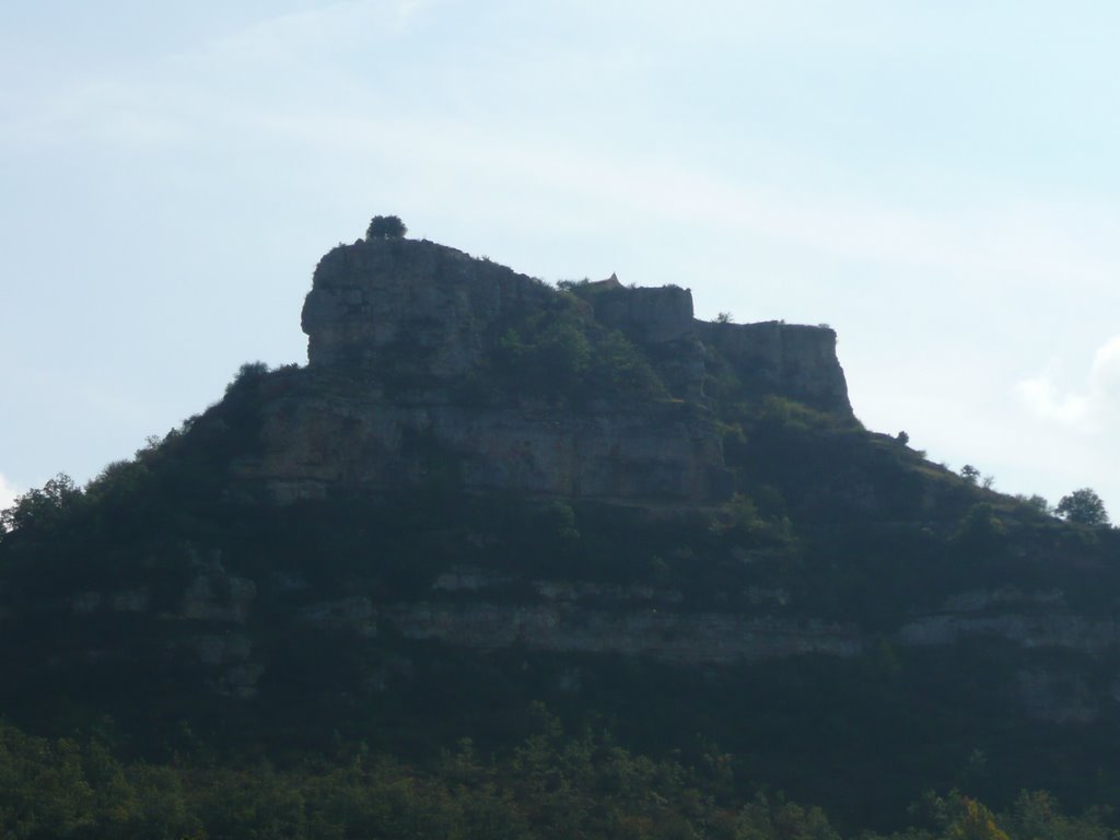 El castillo Valdelateja (Burgos) by karmarx