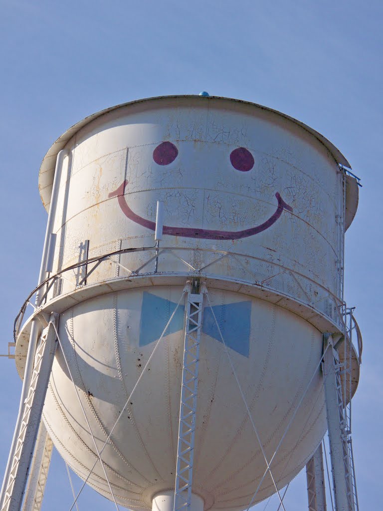 Mr. Smiley the Water Tower by David B. Combs