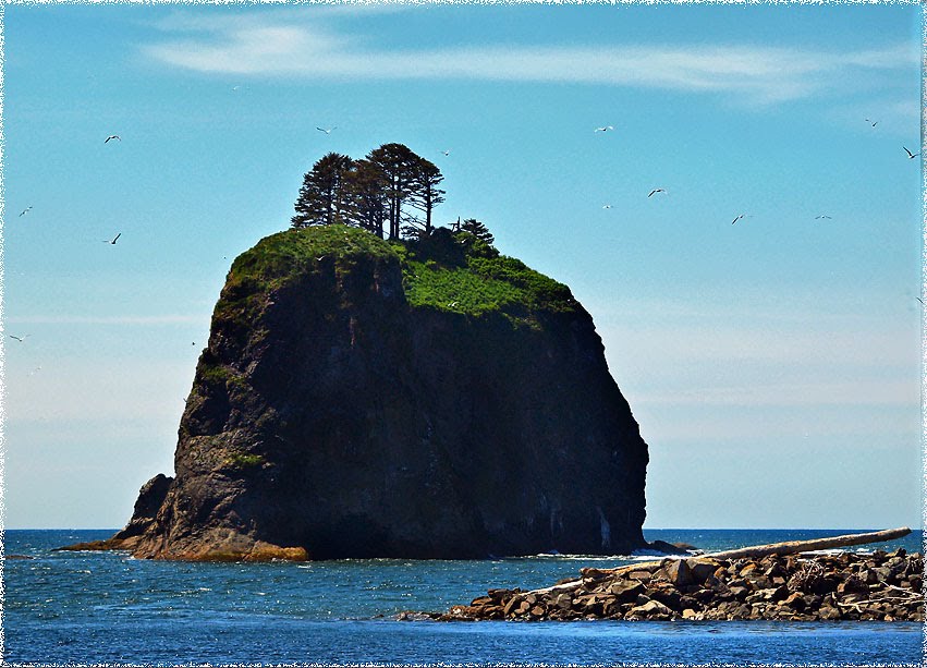 La Push, Washington's Pacific coast by algill