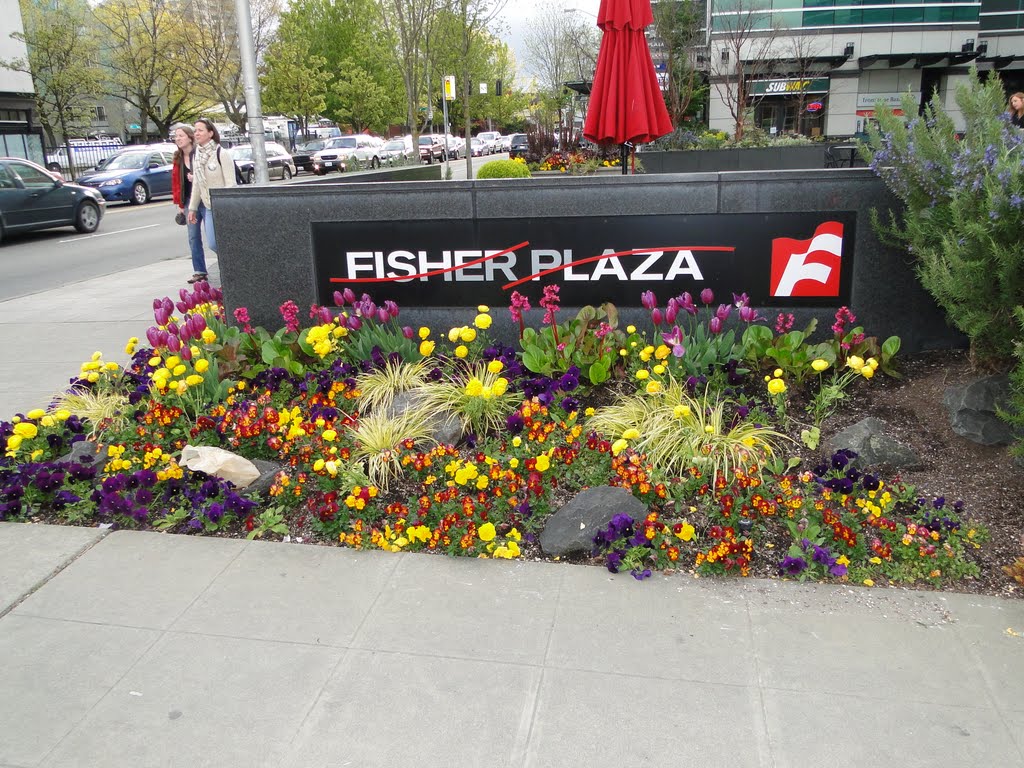 Fisher Plaza by Gino Vivi