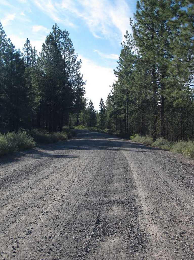 The washboard 9-mile road to Lava Cast Forest by Bend Overall Guidebook