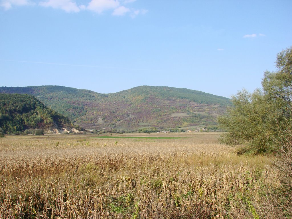 Dela Gura Văii spre Măgurea si dealul Tocii. Glod, Salaj, Ro. by Rada C. Gabi (CGabi)