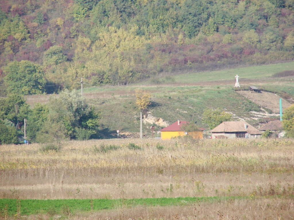 Crucea de pe Târg. Glod, Salaj, Ro. by Rada C. Gabi (CGabi)