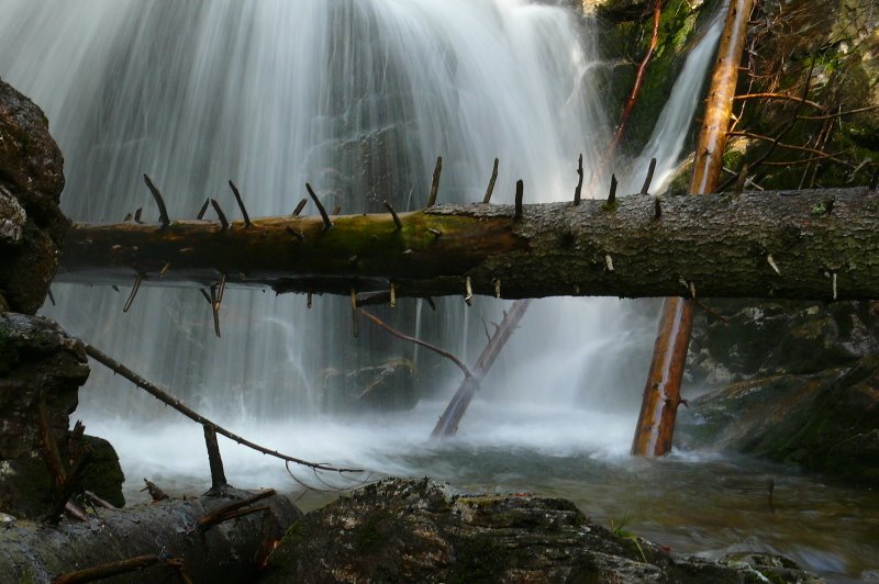 On the ground of the gorge by © alfredschaffer