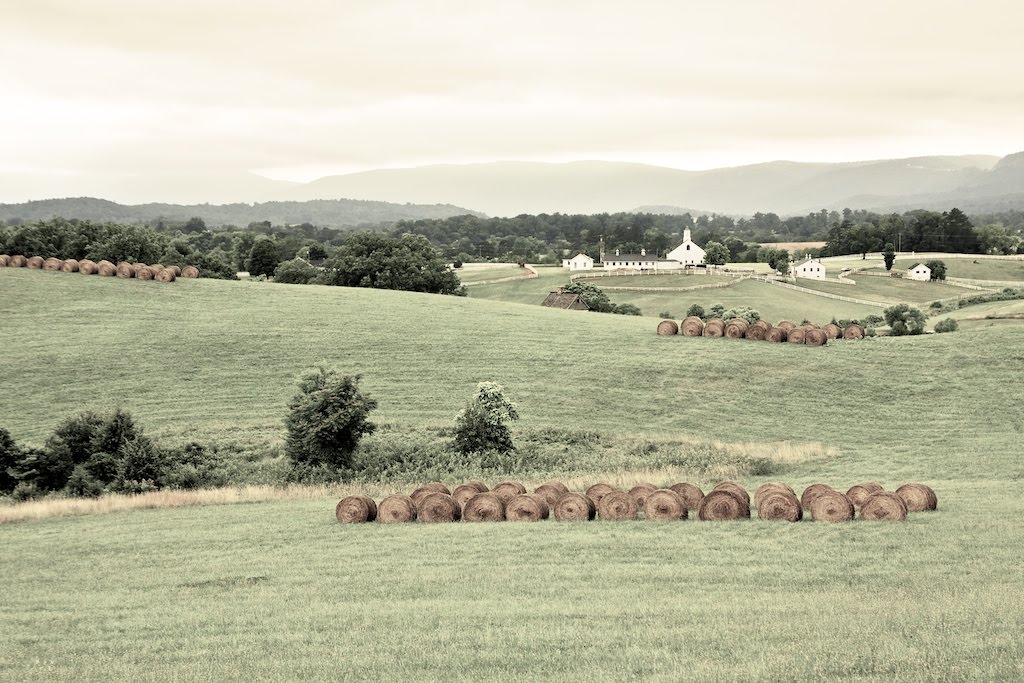 Pasture View by Whitecaps