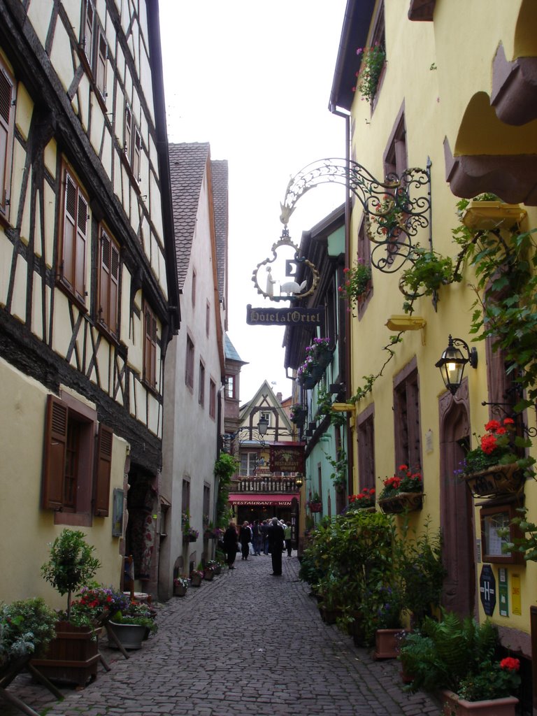 68340 Riquewihr, France by Nico127