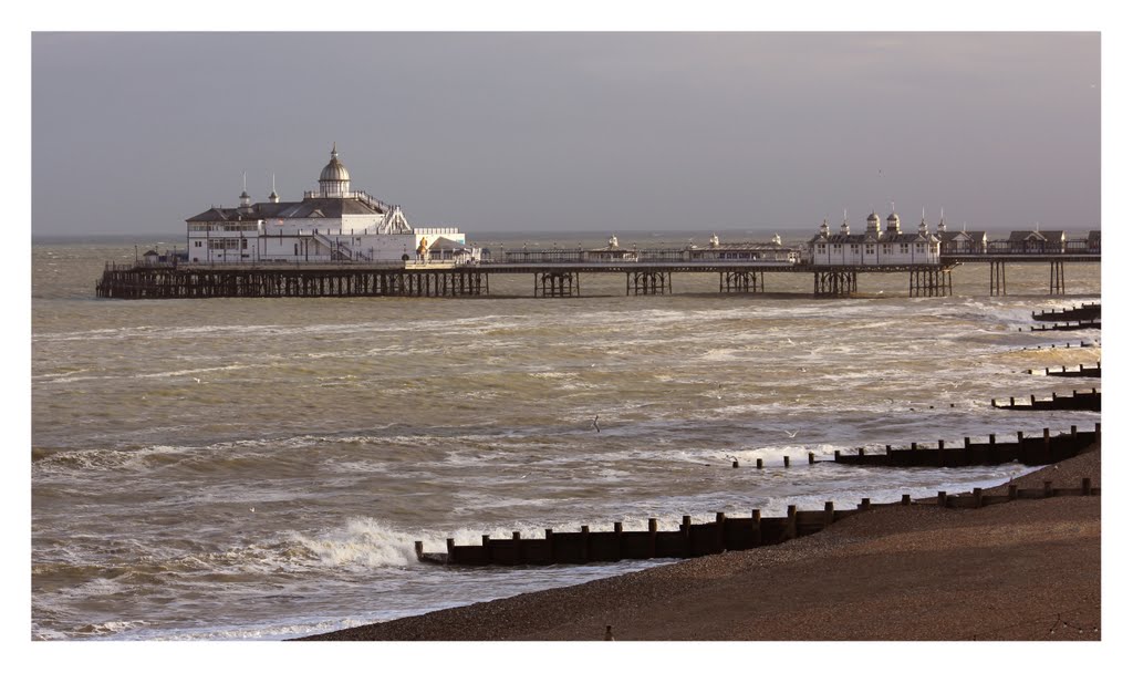 Eastbourne Pier by Evening Light by Desmond Riordan